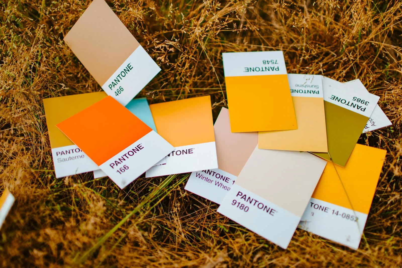 On trouve aussi ces palettes en ligne, moins de risques de les perdre dans l'herbe On trouve aussi ces palettes en ligne, moins de risques de les perdre dans l'herbe