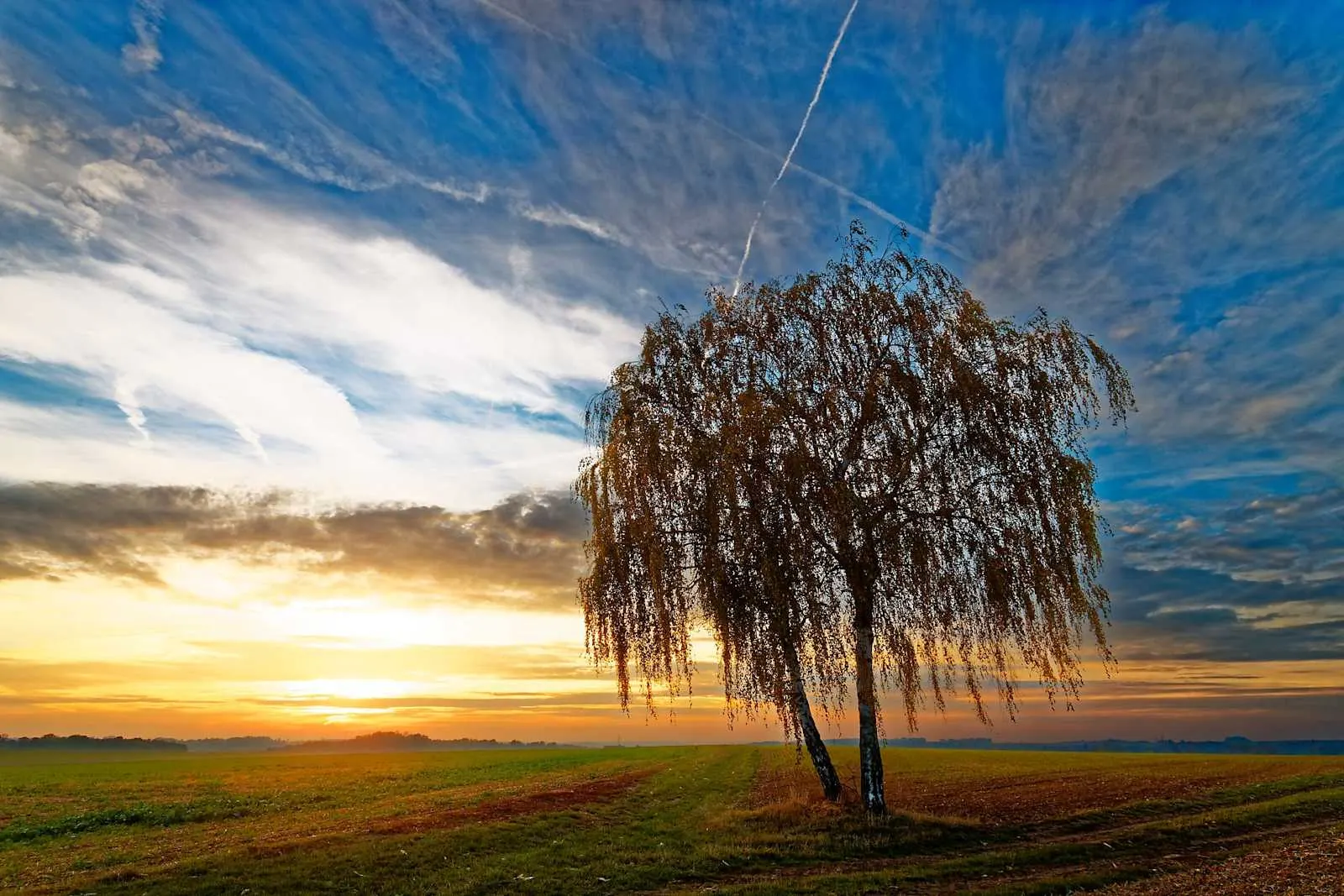 Paysage 1 Jerome fontaine