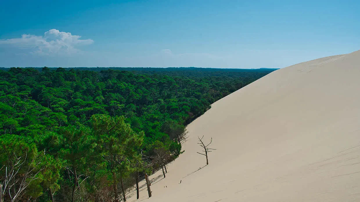 Dune du Pilat Dune du Pilat
