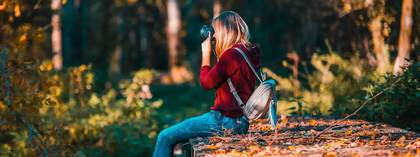 Comment illustrer votre site internet , avec de jolies photos ?
