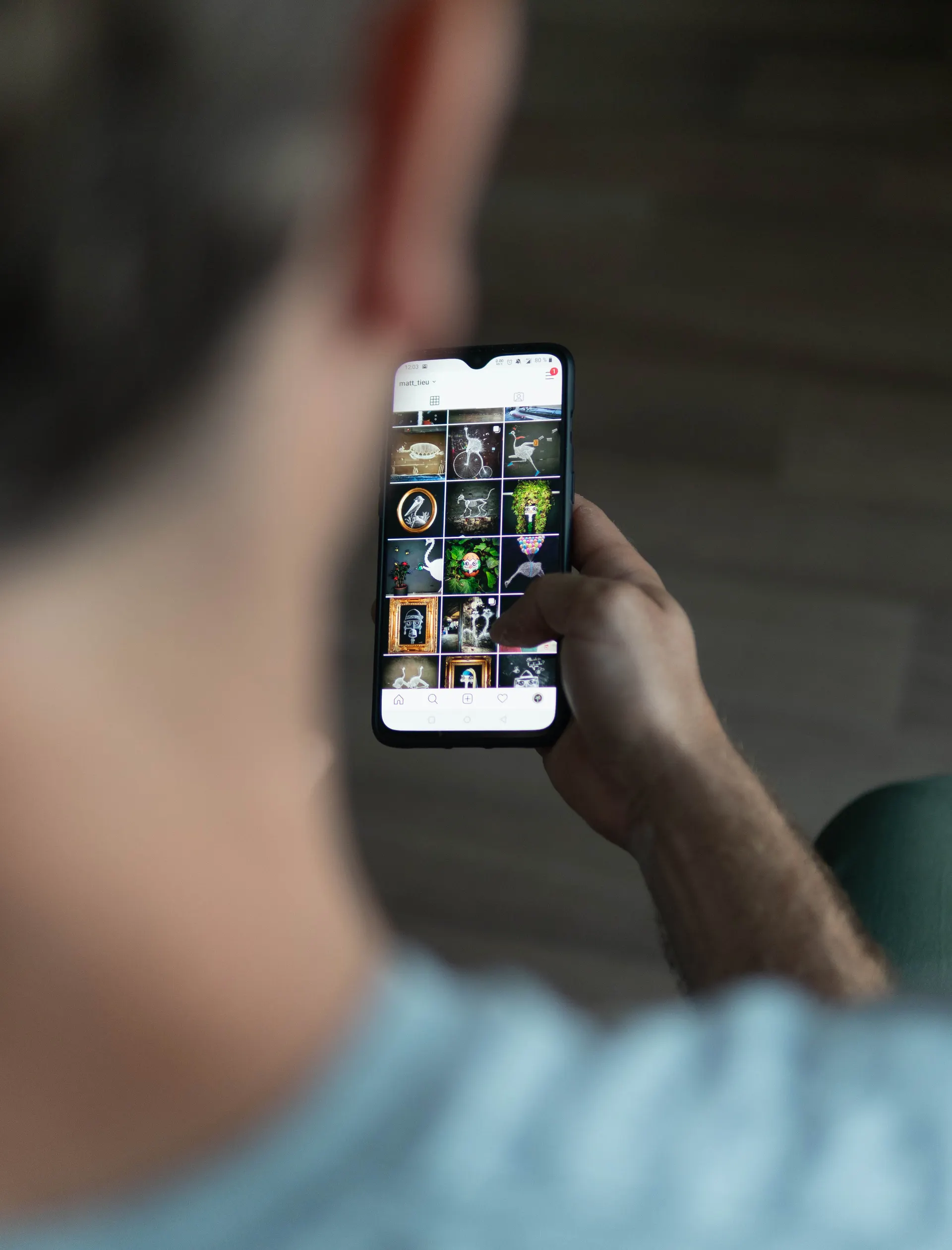Les animaux se mettent en scène sur les réseaux sociaux Les animaux se mettent en scène sur les réseaux sociaux