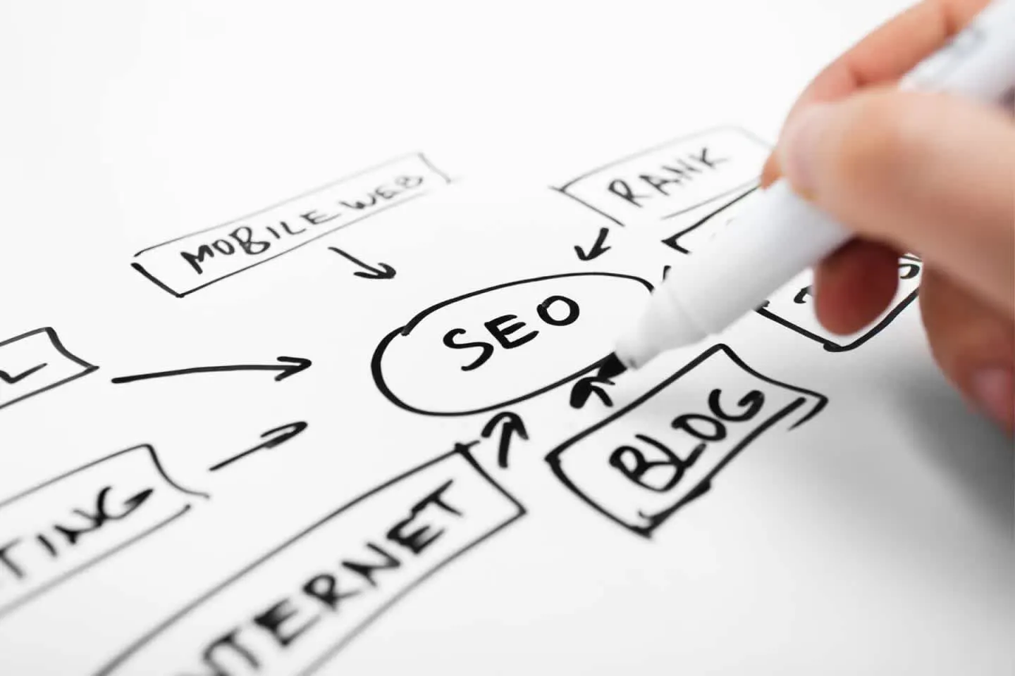 PENSER AU RÉFÉRENCEMENT (SEO) - FILADENDRON @GETTYIMAGES
