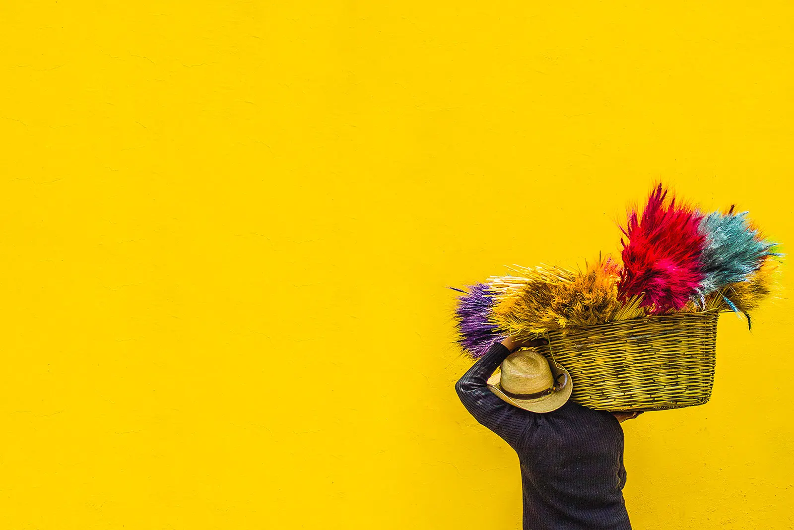 Des couleurs vives pour attirer l'attention Des couleurs vives pour attirer l'attention