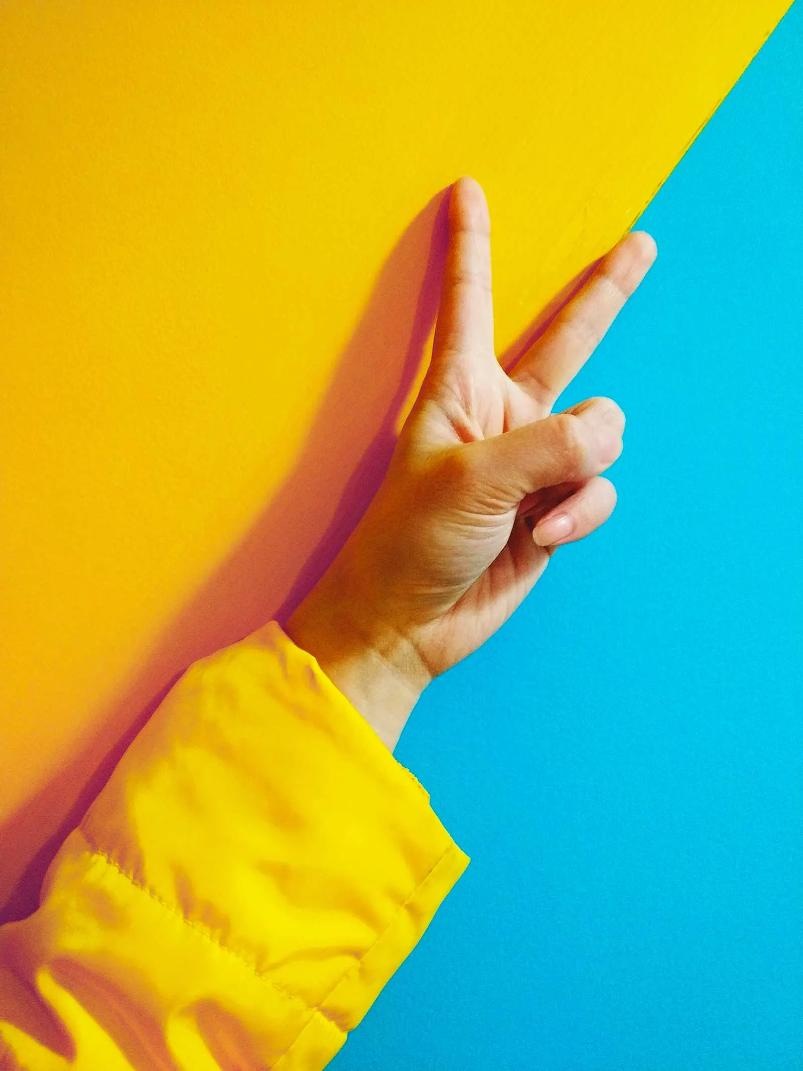 Des couleurs complémentaires Des couleurs complémentaires