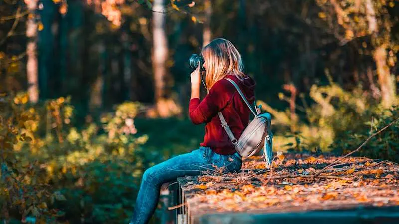Comment illustrer votre site internet , avec de jolies photos ?