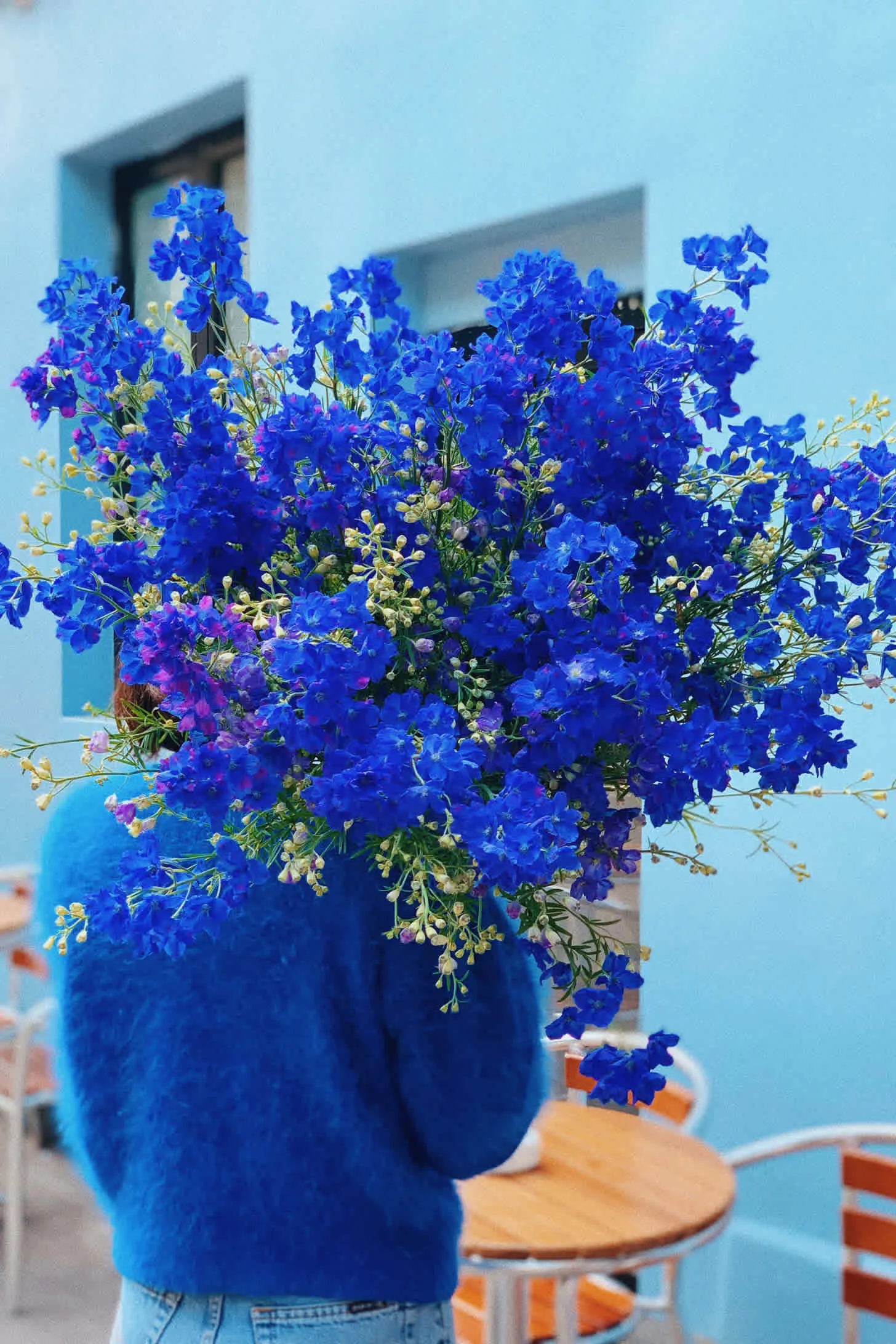 BOUQUET DE DELPHINIUM - PAMPA BOUQUET DE DELPHINIUM - PAMPA