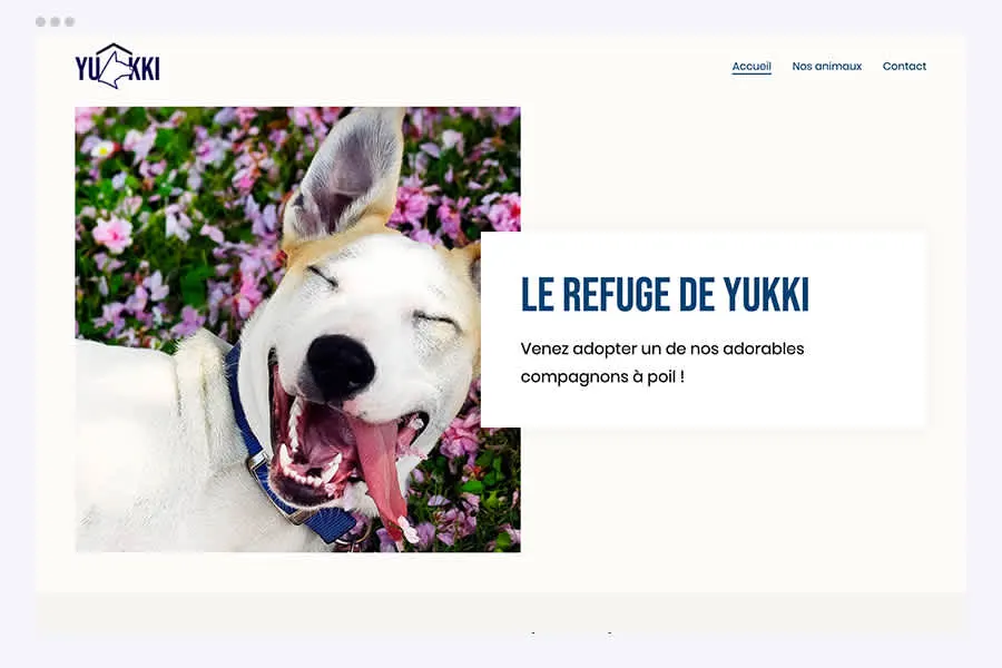 Un en-tête de site type texte + image Un en-tête de site type texte + image