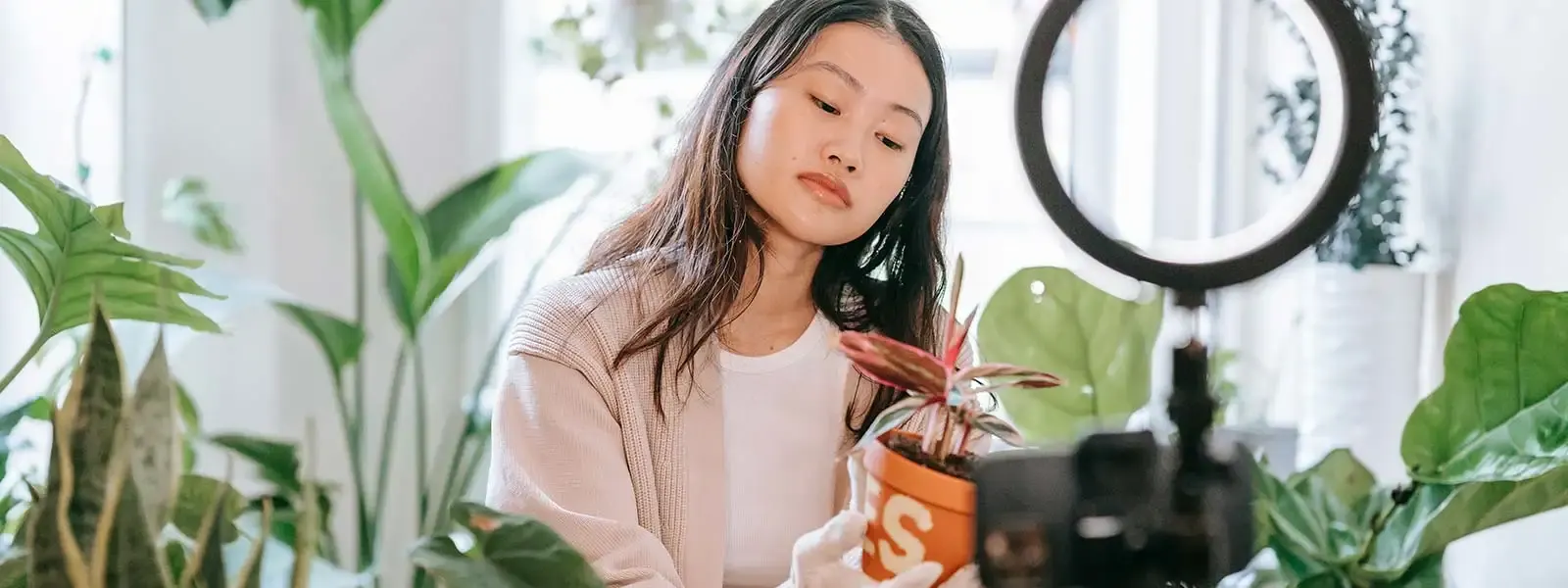 Comment réussir le lancement d’un produit sur votre, boutique en ligne ?
