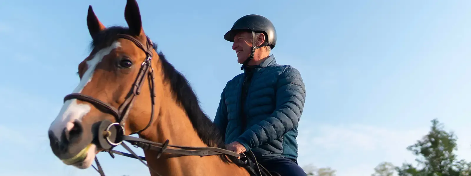 Roger-Yves Bost, , cavalier d'or