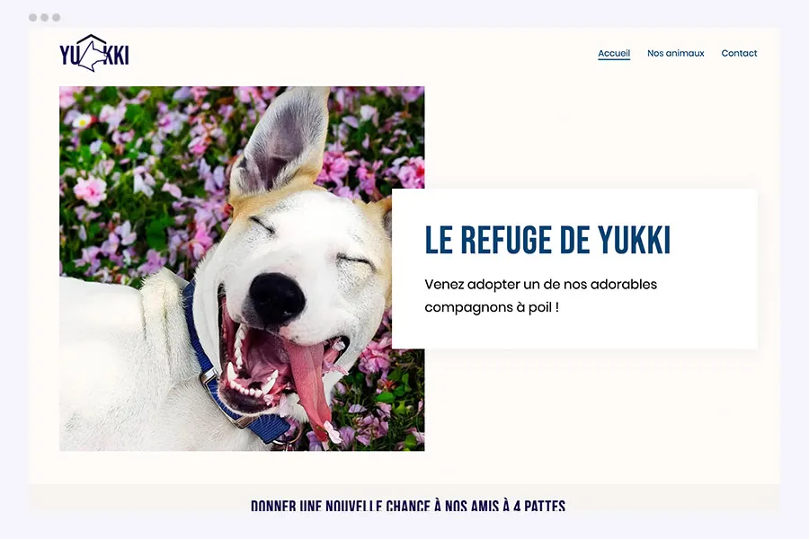 Modèle de site association @hubside